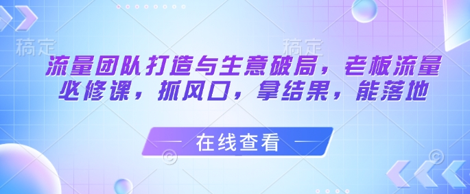流量团队打造与生意破局，老板流量必修课，抓风口，拿结果，能落地-陈泽网创-资源网-最新项目分享网