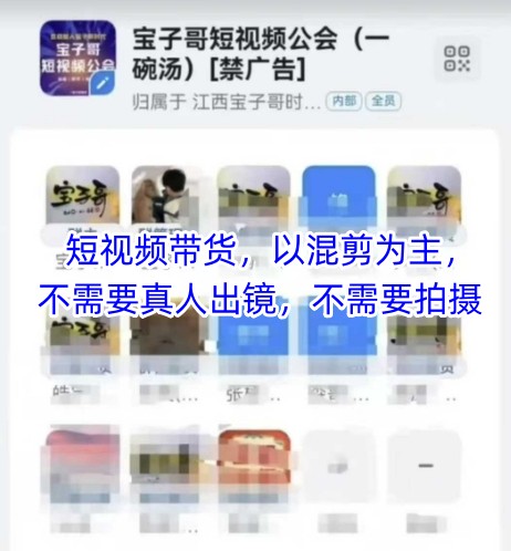 宝子哥头部团队短视频带货，以混剪为主，不需要真人出镜，不需要拍摄-陈泽网创-资源网-最新项目分享网