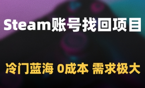 Steam账号找回项目，冷门蓝海，0成本，需求极大-陈泽网创-资源网-最新项目分享网