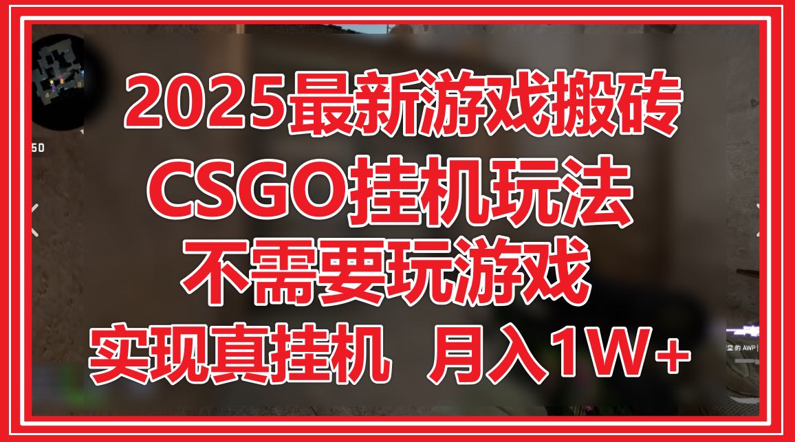 2025最新游戏搬砖，CSGO挂机，不需要玩游戏，实现真挂机，月入1W+-陈泽网创-资源网-最新项目分享网