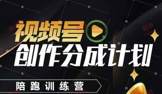 视频号创作分成计划陪跑训练营，手把手教会你如何制作视频，细水长流型项目-陈泽网创-资源网-最新项目分享网