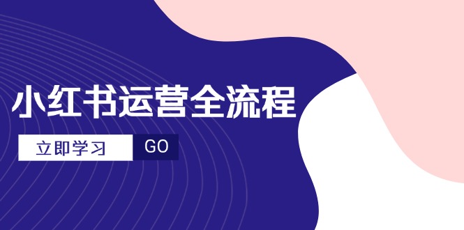 小红书运营全流程，爆款选题文案，视频制作技巧，进阶达人宝典-陈泽网创-资源网-最新项目分享网