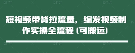 短视频带货拉流量，编发视频制作实操全流程(可搬运)-陈泽网创-资源网-最新项目分享网