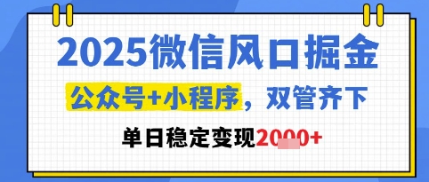 2025微信风口掘金，公众号+小程序双管齐下，单日稳定变现1k+【揭秘】-陈泽网创-资源网-最新项目分享网