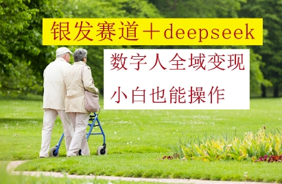 银发赛道+deepseek数字人全域变现，小白也能操作-陈泽网创-资源网-最新项目分享网