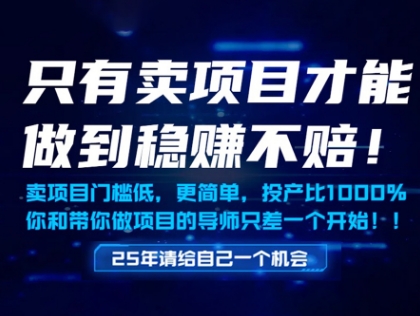 只有卖项目才能做到稳挣不赔，门槛低，更简单，你也可以年入百个W【揭秘】-陈泽网创-资源网-最新项目分享网