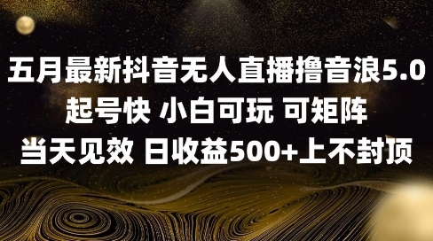 2025五月最新无人直播撸音浪单日产出5张+实操教程【揭秘】-陈泽网创-资源网-最新项目分享网