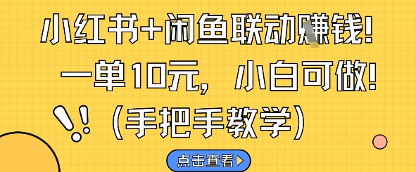 小红书+闲鱼联动挣钱，一单10元，小白可做-陈泽网创-资源网-最新项目分享网