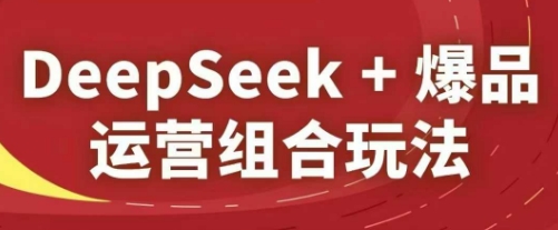DeepSeek+爆品运营组合玩法，2025淘系精品课-陈泽网创-资源网-最新项目分享网
