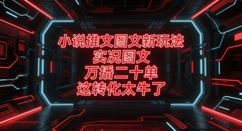 小说推文图文新玩法，实况图文，万播二十单，这转化太牛了！-陈泽网创-资源网-最新项目分享网