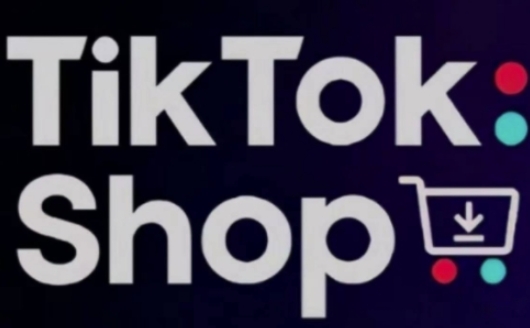 TikTokShop跨境电商0-1实战，手把手教你低成本启动海外市场(更新)-陈泽网创-资源网-最新项目分享网