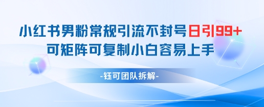 小红书男粉常规引流不封号日引99+变现简单 可矩阵可复制小白容易上手-陈泽网创-资源网-最新项目分享网