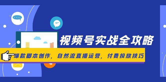 视频号实战全攻略，爆款脚本创作，自然流直播运营，付费投放技巧-陈泽网创-资源网-最新项目分享网