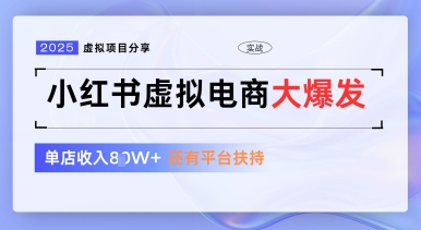 小红书虚拟电商项目，平台大力免费流量扶持，低门槛1拖3玩法-陈泽网创-资源网-最新项目分享网