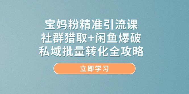 宝妈粉精准引流课，社群猎取+闲鱼爆破，私域批量转化全攻略-陈泽网创-资源网-最新项目分享网