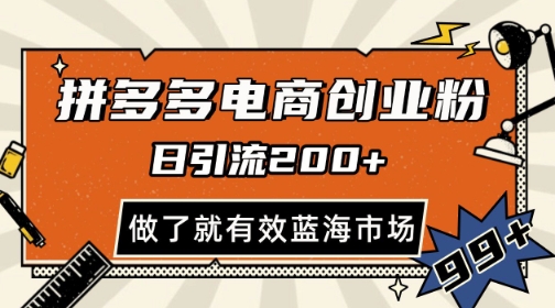 拼多多引流电商创业粉，日引200+，可矩阵放大，做了就有效【揭秘】-陈泽网创-资源网-最新项目分享网