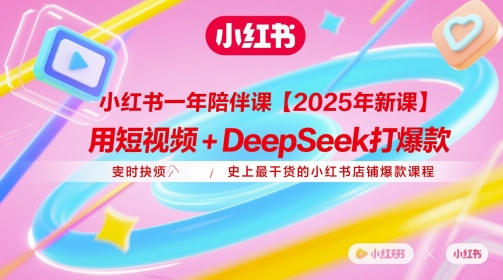 小红书一年陪伴课【2025年新课】，用短视频+deepSeek打爆款，史上最干货的小红书店铺爆款课程-陈泽网创-资源网-最新项目分享网