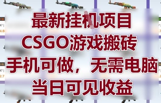 最新挂G项目，CSGO游戏搬砖，手机可做，无需电脑，当日见收益【揭秘】-陈泽网创-资源网-最新项目分享网