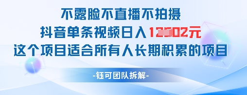 不露脸不直播不拍摄抖音单条视频日入1k+这个项目适合所有人长期积累的项目-陈泽网创-资源网-最新项目分享网