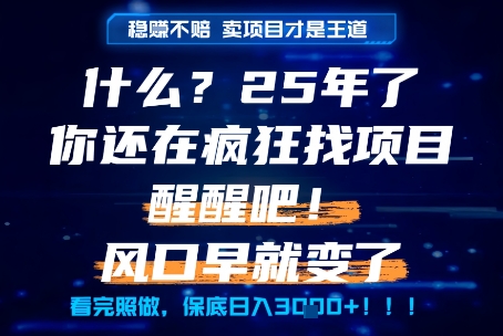 什么？25年你还在疯狂找项目做，醒醒吧，看完这些你全都懂了！【揭秘】-陈泽网创-资源网-最新项目分享网